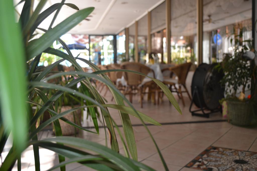 Hotel Alfredo'S ริมินี ภายนอก รูปภาพ
